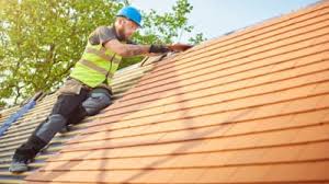 Best Roof Maintenance and Cleaning  in Clive, IA